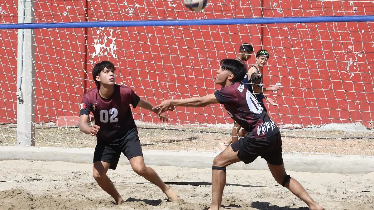 VOLEIBOL (4)